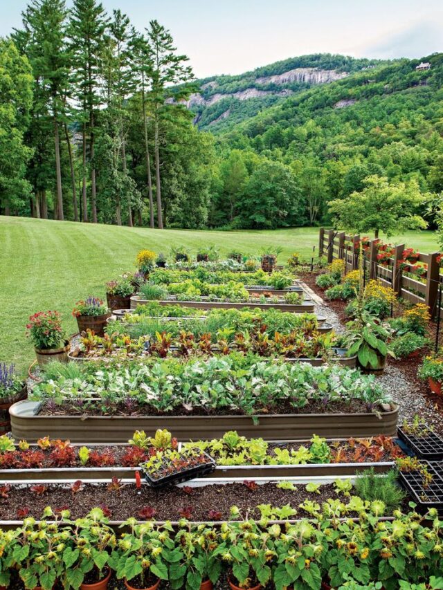 9 inspiring garden decoration ideas