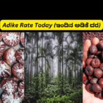 Adike Rate Today