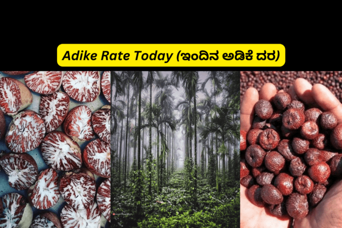 Adike Rate Today